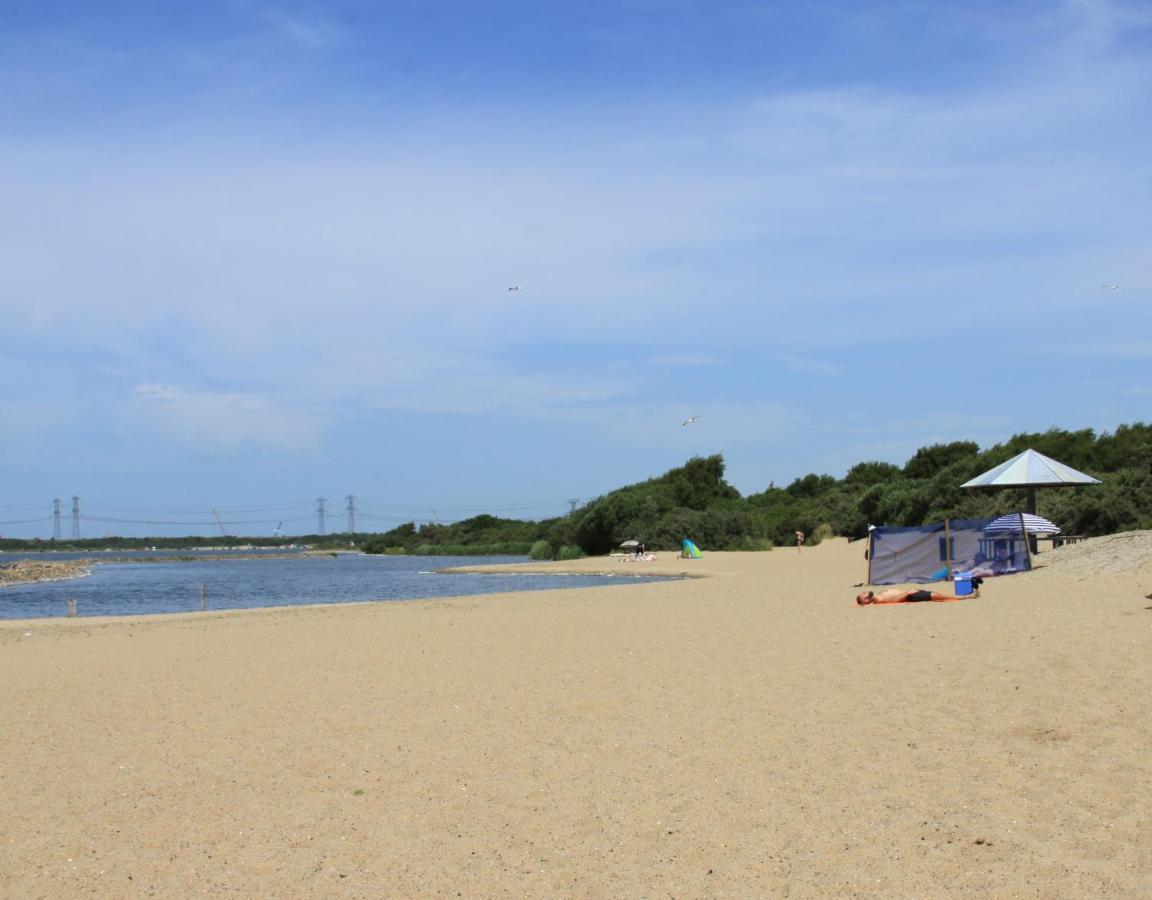 B&B Beach&Bos Oostvoorne Eksteriør billede