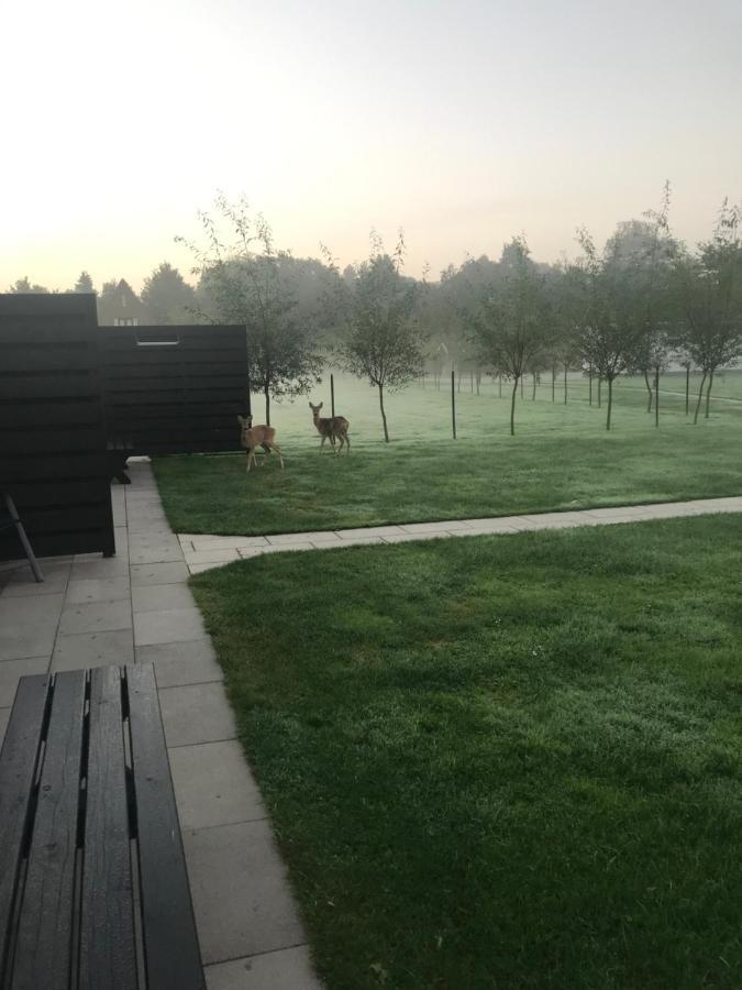 B&B Beach&Bos Oostvoorne Eksteriør billede