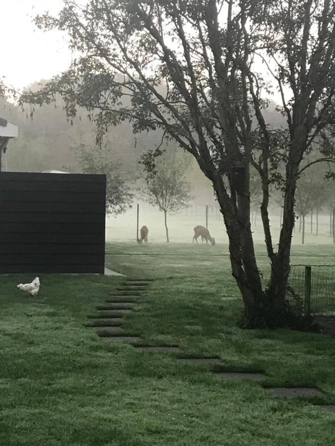 B&B Beach&Bos Oostvoorne Eksteriør billede